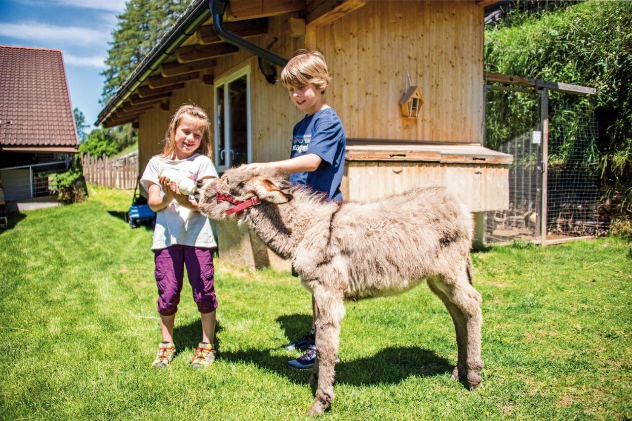 Ferienwohnung Unter Bäck Sexten Exterior foto